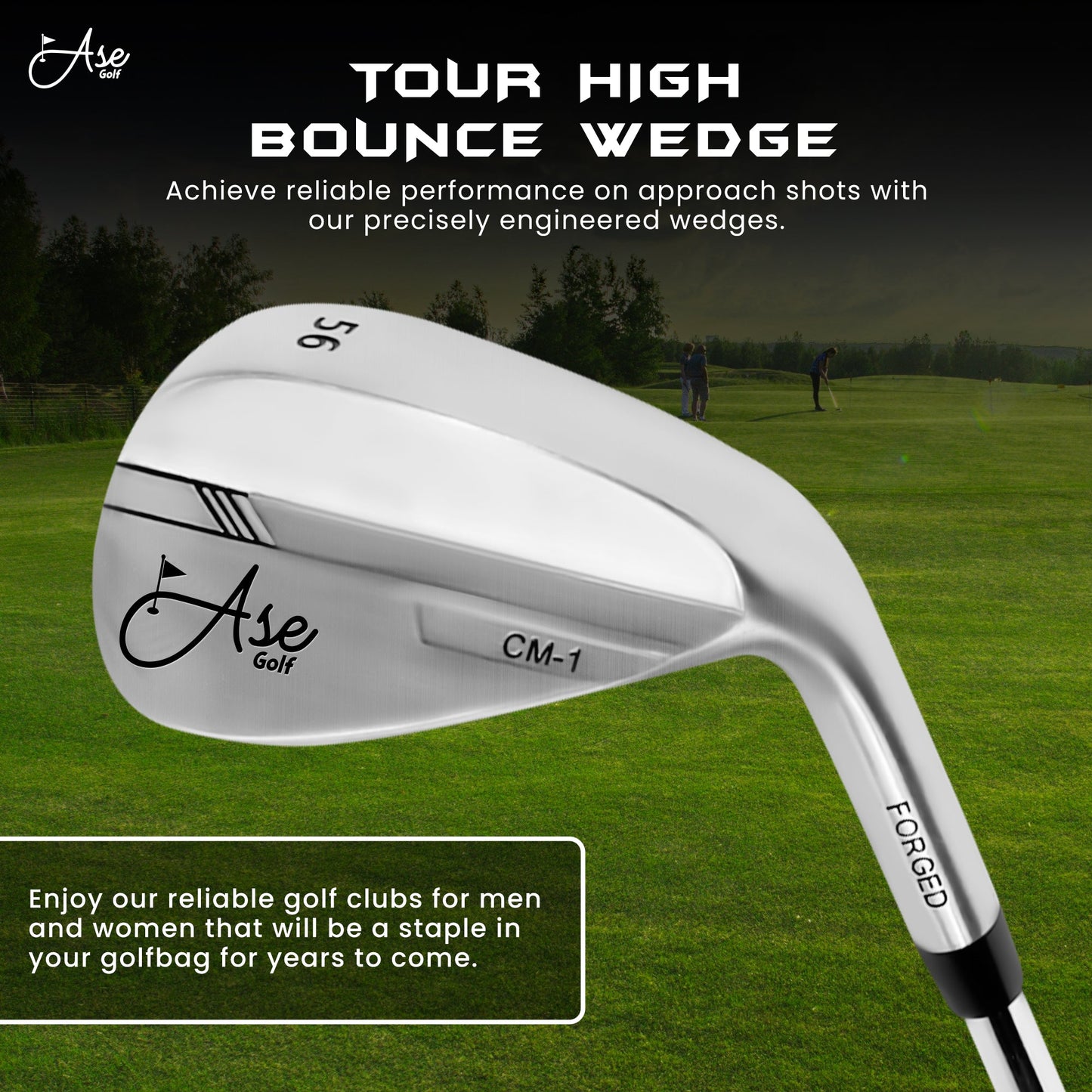Ase 3-Piece Wedge Set